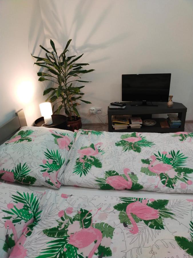 Apartamento Przy Rynku Duszniki Zdrój Exterior foto